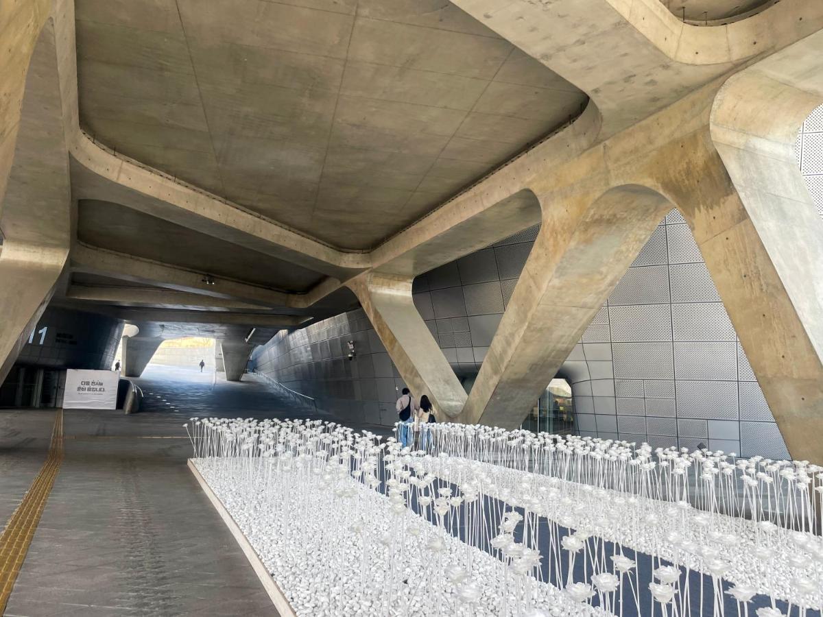 24 ゲストハウス 東大門市場 ソウル特別市 エクステリア 写真